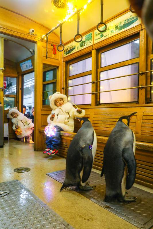 1705468325431209.jpg 微信图片_20231231100301.jpg