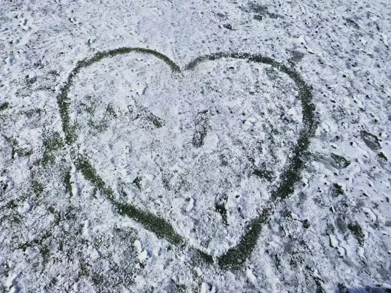 微信图片_20181214160930.jpg 微信图片_20181214160930.jpg